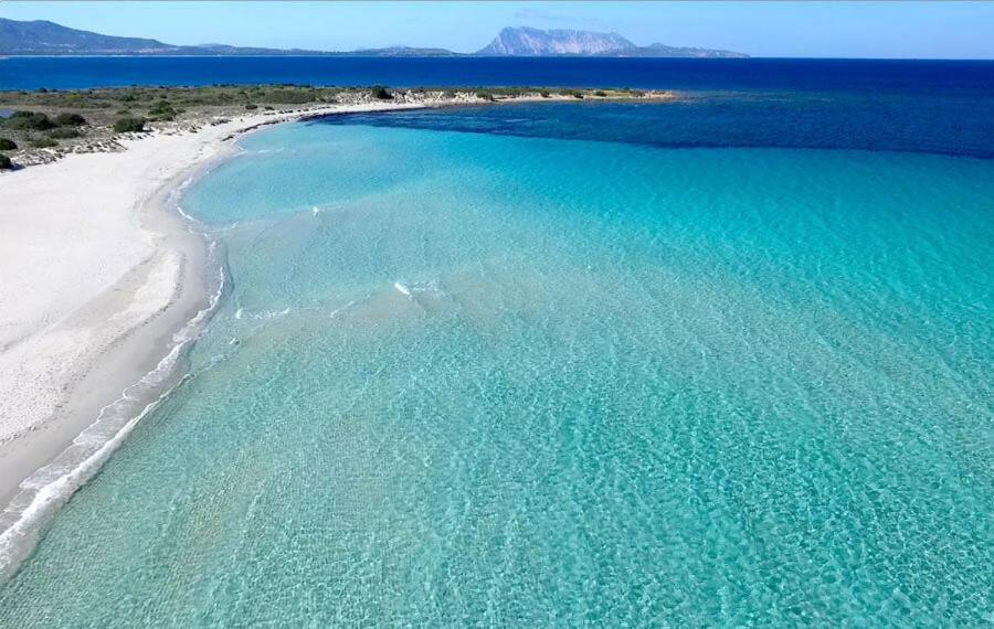 Villa Trilocale Dory A San Teodoro à San Teodoro  Extérieur photo